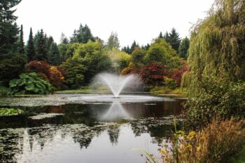 Sounds Natural at the VanDusen Botanical Garden – SOLD OUT
