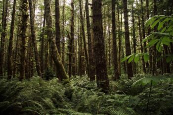 Sustaining the Arts: A Conversation on Cultural and Environmental Responsibility
